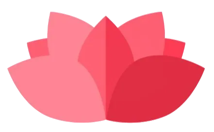 Dragon guardian
