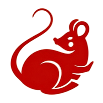 Rat